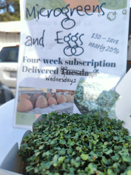 Microgreens + eggs subscription is back!