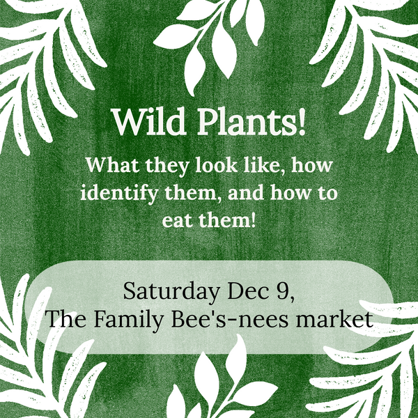 How to forage for wild winter greens in NC